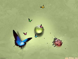 中山悦联创想一站式互联网服务探析 网站建设风格原则、构架与电脑动画设计的融合之道